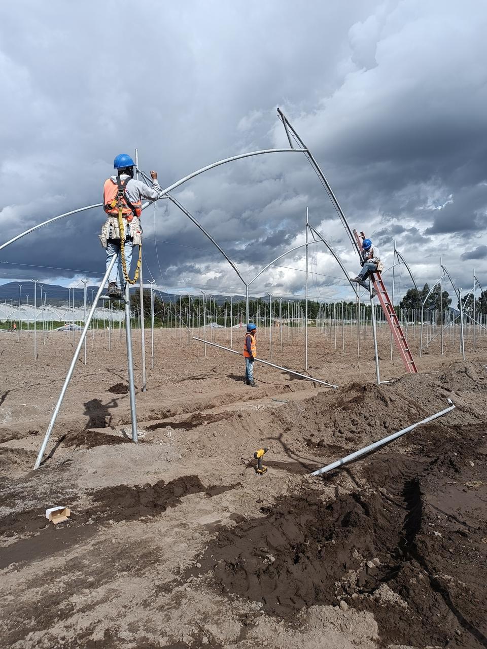 Primeras estructuras de invernadero