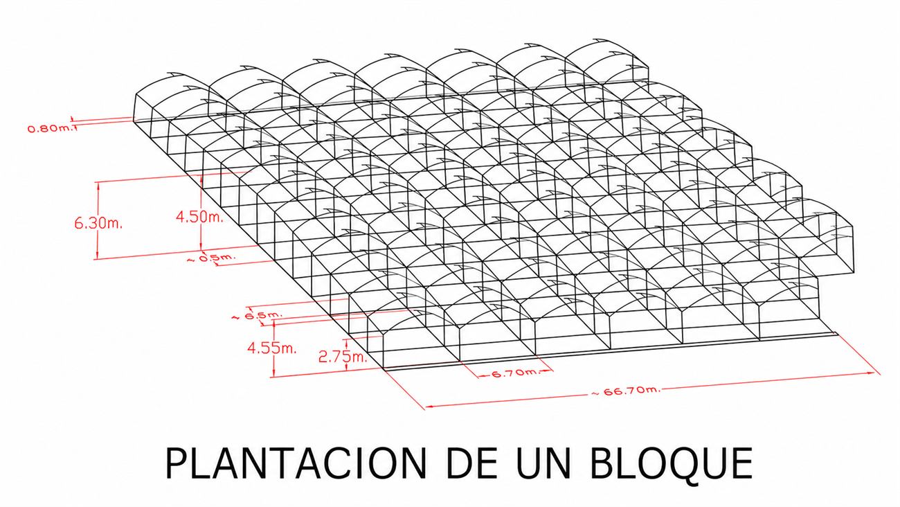 Invernaderos tecnificados